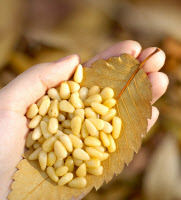 [新팔도명물] '대통령 설 선물 납품' 우수성 인정받은 '홍천잣'