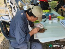 [선감학원 특별기획·(下)] 단속만 집중 '거주지 파악' 부실… 장례·애도 없이 시신 암매장