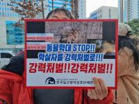 화성 고양이 학대 20대 징역 8월… 동물권단체 반발에 일시 소란