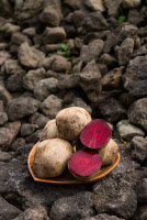 [新팔도명물] 세계가 선정한 10대 슈퍼푸드 '제주 레드비트'