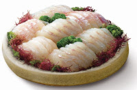 [新팔도명물] 청정한 해역에서 자란 영양만점 국민횟감 '제주광어'