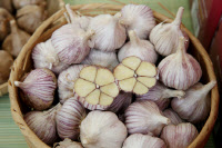 [新팔도명물] 항암효과 뛰어난 세계 10대 슈퍼푸드 '서산 6쪽마늘'