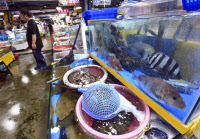 [현장르포] 일본 후쿠시마 오염수 방류 일정 발표… 어두운 상인들 표정