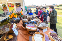 [新팔도명물] 뭘 좋아할지 몰라 다 준비했어… 청정 자연 담은 '제주 특산물'