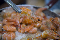 [新팔도명물] '10점 만점에 10점'… 가을철 입맛 사로잡는 '홍성 대하'