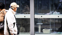 얼마나 작고, 예쁘고, 어린가에… 강아지 쇼핑 '얼마'가 결정된다