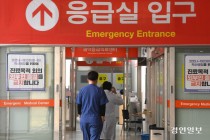공중보건의사 자리, 어떻게 메우나… 의료 취약지, 더 취약해졌다