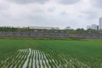 이 땅을 관통한 잊혀진 방어선, 대전차 방호벽 '용치' [전쟁과 분단의 기억 시즌2 프롤로그]