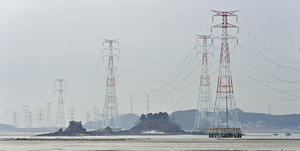 조택상·배준영 “해상풍력 활용 전력공급 다변화”… ‘영흥도 정전’ 방지 한 뜻