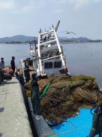 [뉴스분석] '탁상공론 해결책'에 신도대교서 반년만에 또 어선 추돌
