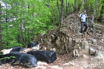 연간 환경적 가치 '3조원대'… 보물 지키기 "지금이 골든타임" [경기북부 허리가 끊겼다·(3-2)]