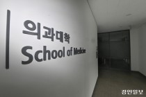 의대 졸업생 "차라리 현역병 가자"… 의료파업 지속 '군의관 부족' 가속