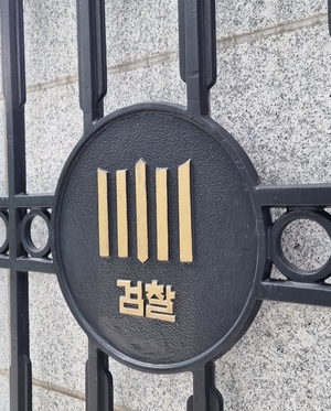 항공기에서 현금·카드 슬쩍…훔친 돈으로 국내서 1억원 쓴 중국인 구속 기소