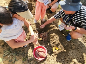 경기 100인의 아빠단 ‘아빠랑 함께 농장가자’ 체험 마무리