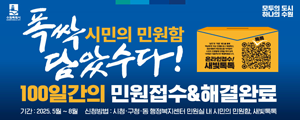 수원특례시