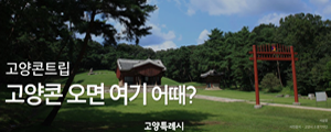 고양특례시