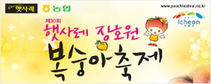 이천시(복숭아축제)