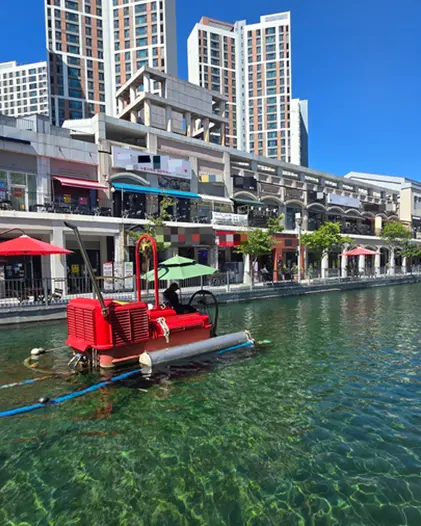 예쁜 폐허 전락한 한국의 베네치아, 김포 라베니체