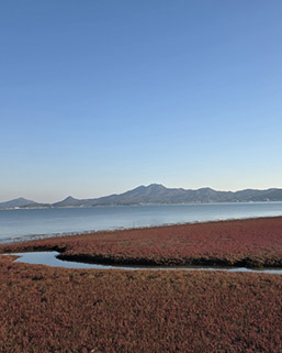 지역의 정서, 청산별곡을 낳다