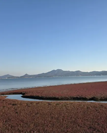 지역의 정서, 청산별곡을 낳다
