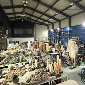 광물·화석 등 12만 여점 전시… 남양주 ‘우석헌자연사박물관’