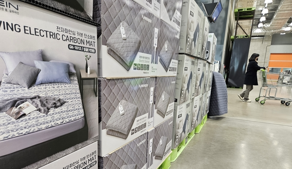 미니히터·1인용 매트 인기 ‘나혼산족’ 겨울 생존법
