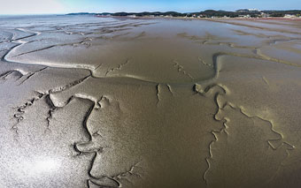 30년 전 보낸 ‘환경파괴 경고’