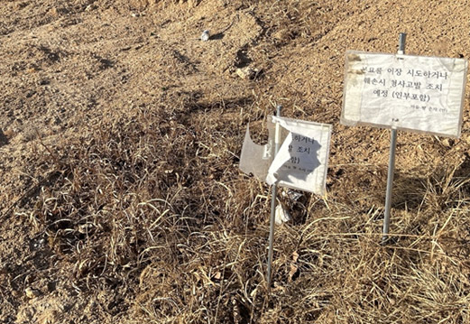 반도체 단지로 땅값 오르자 ‘사라진 조상묘’