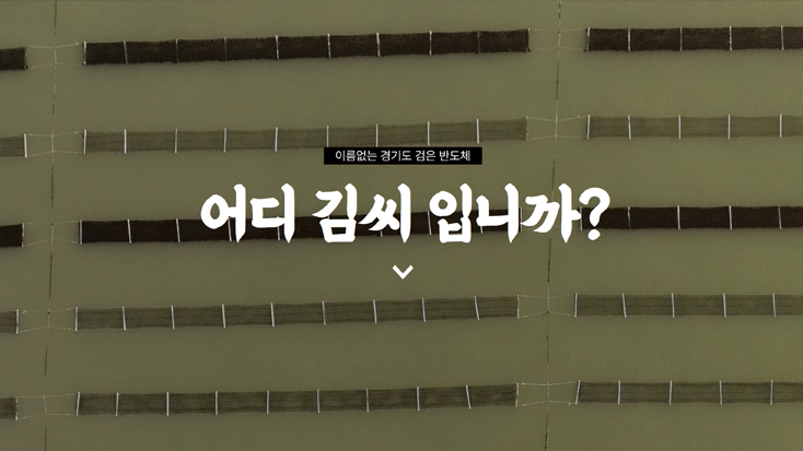 어디 김씨 입니까?